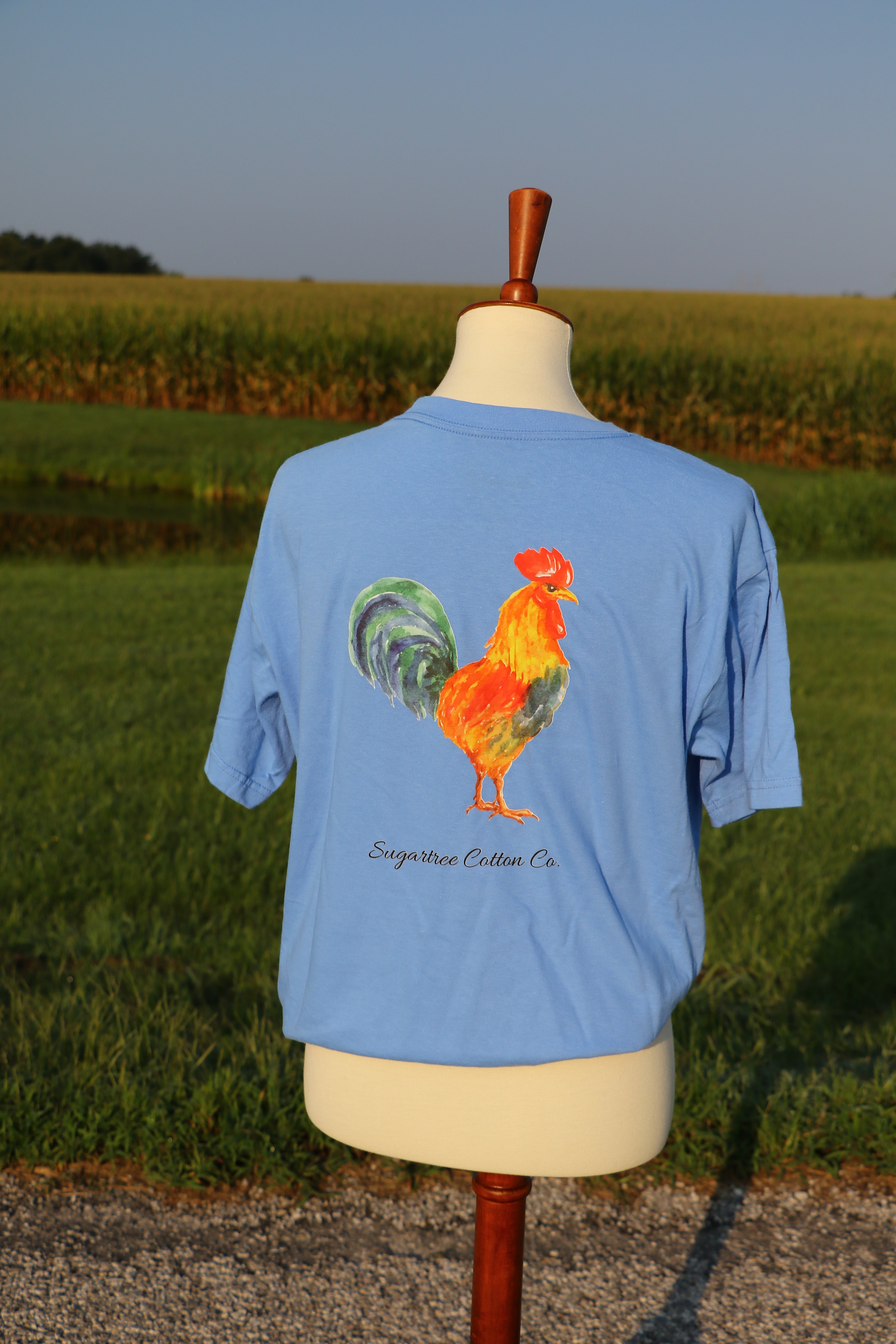 The Feathered Collection