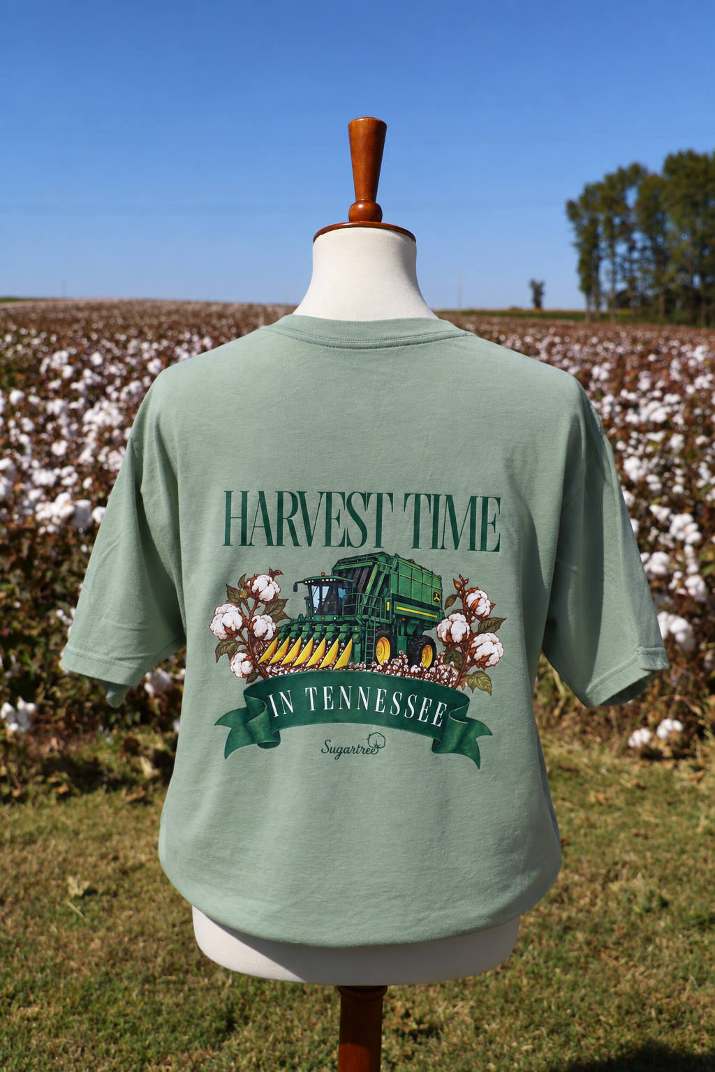 Harvest Time: Fern Limited Edition