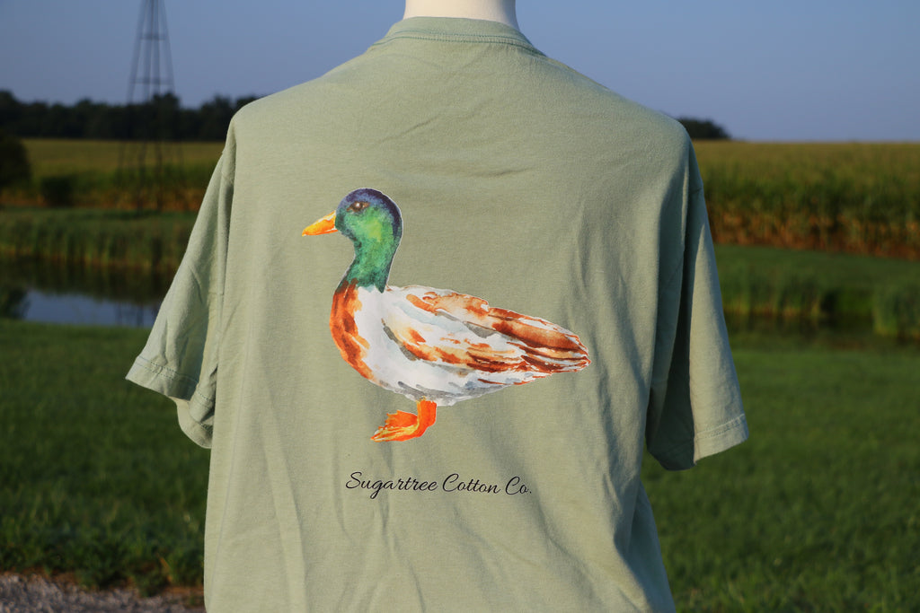 Feathered Collection: The Duck