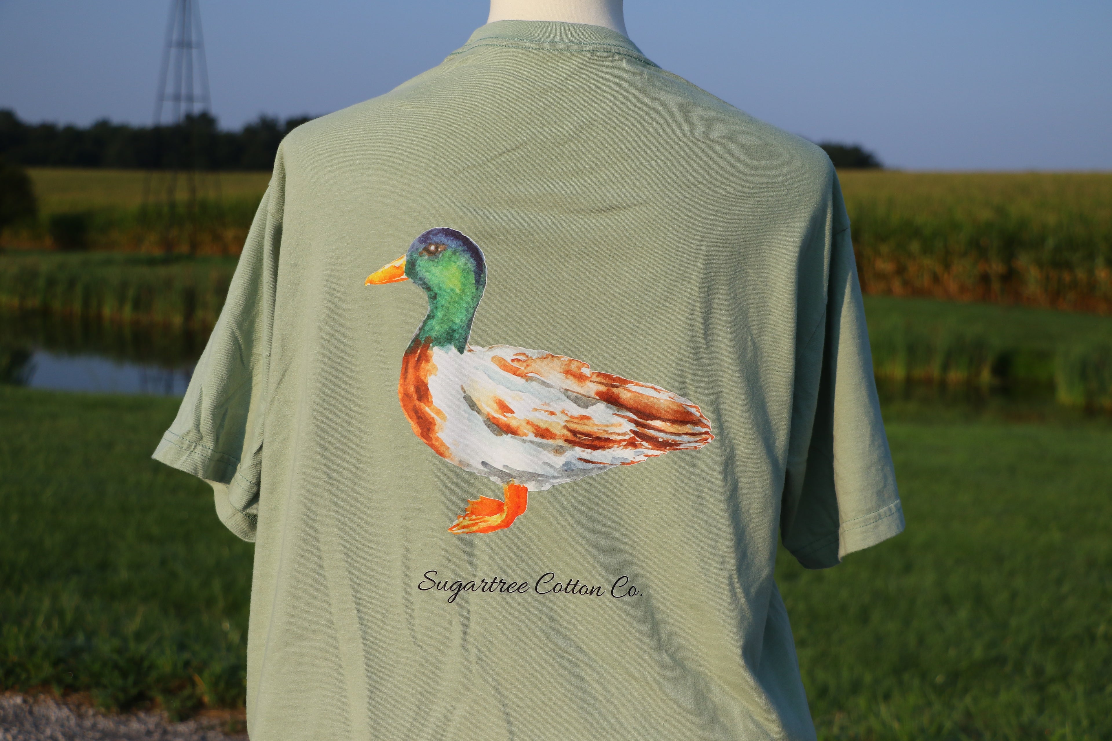 Feathered Collection: The Duck
