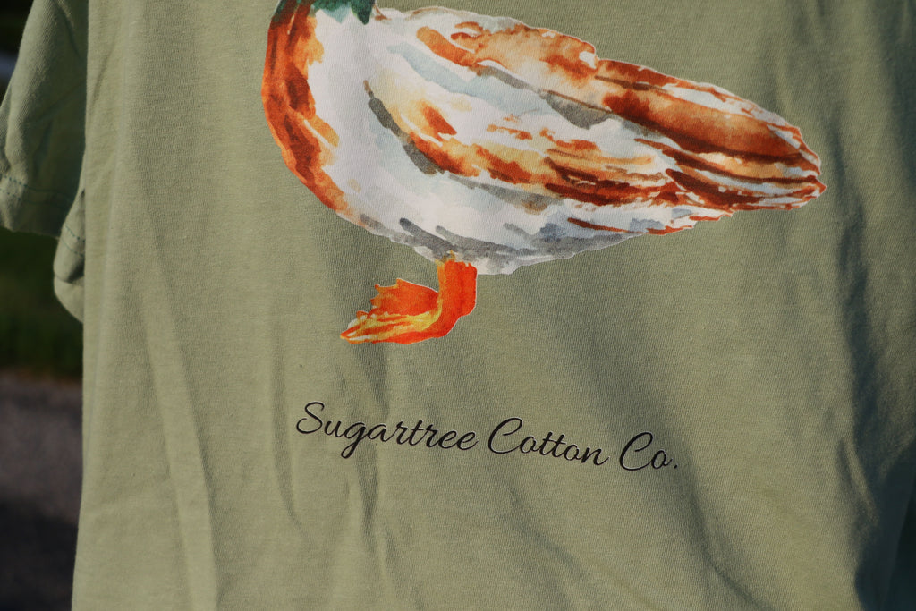 Feathered Collection: The Duck