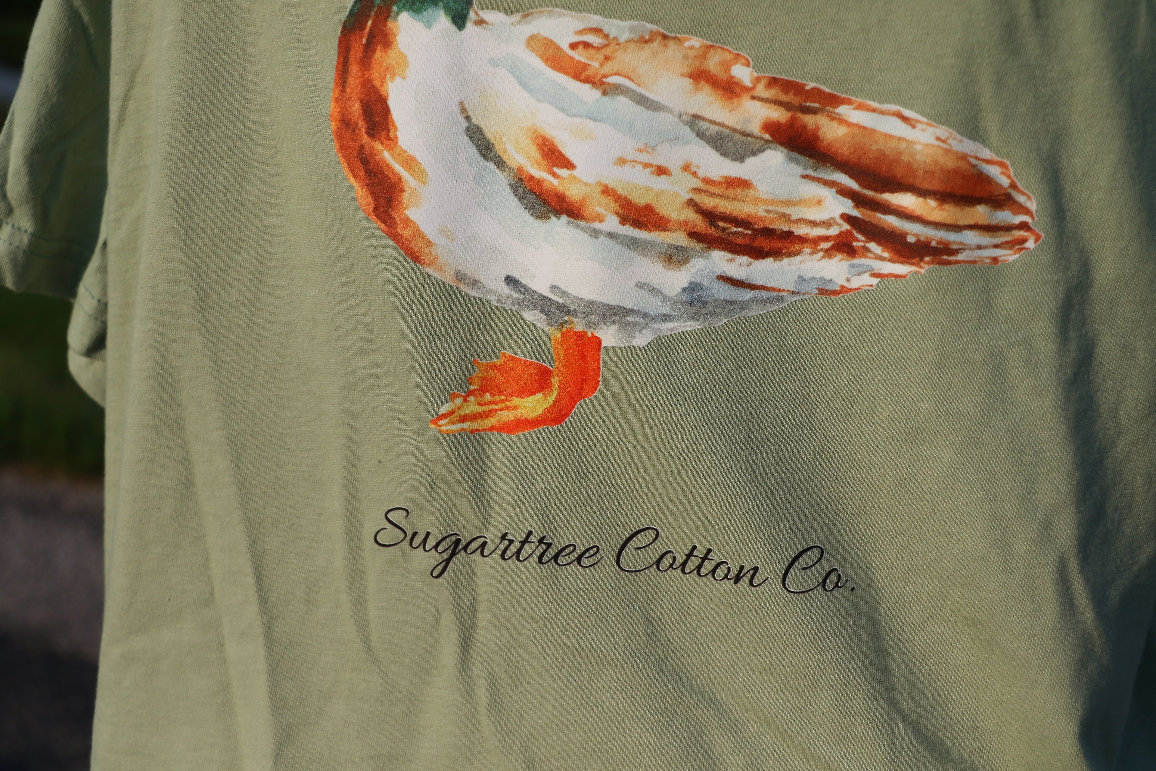 Feathered Collection: The Duck
