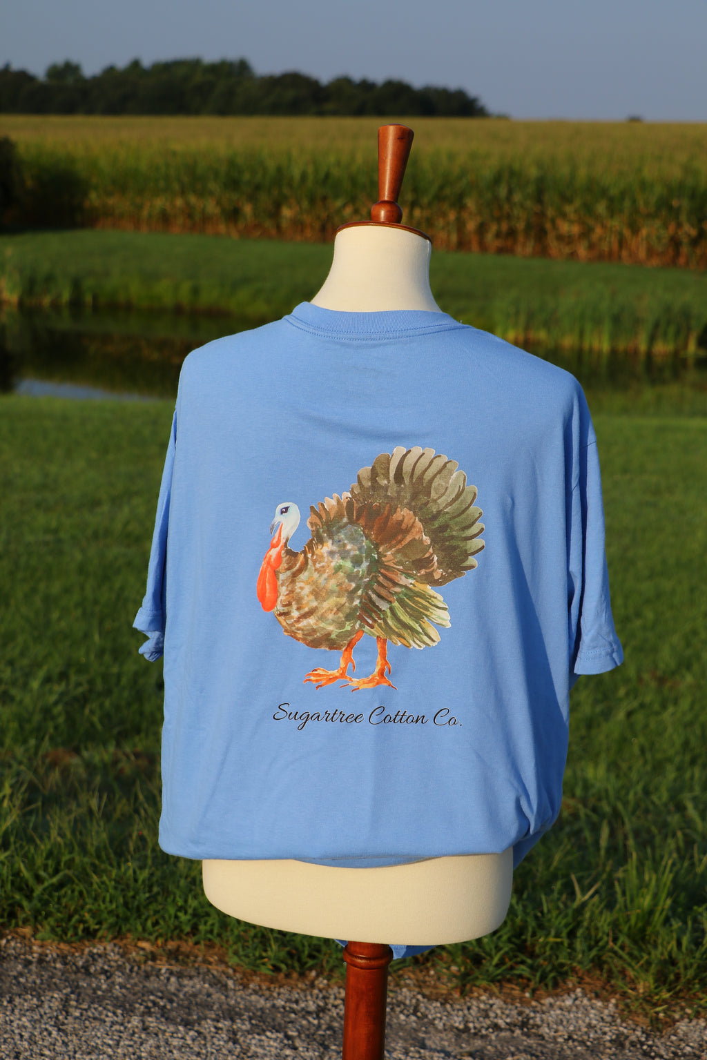 Feathered Collection: The Turkey