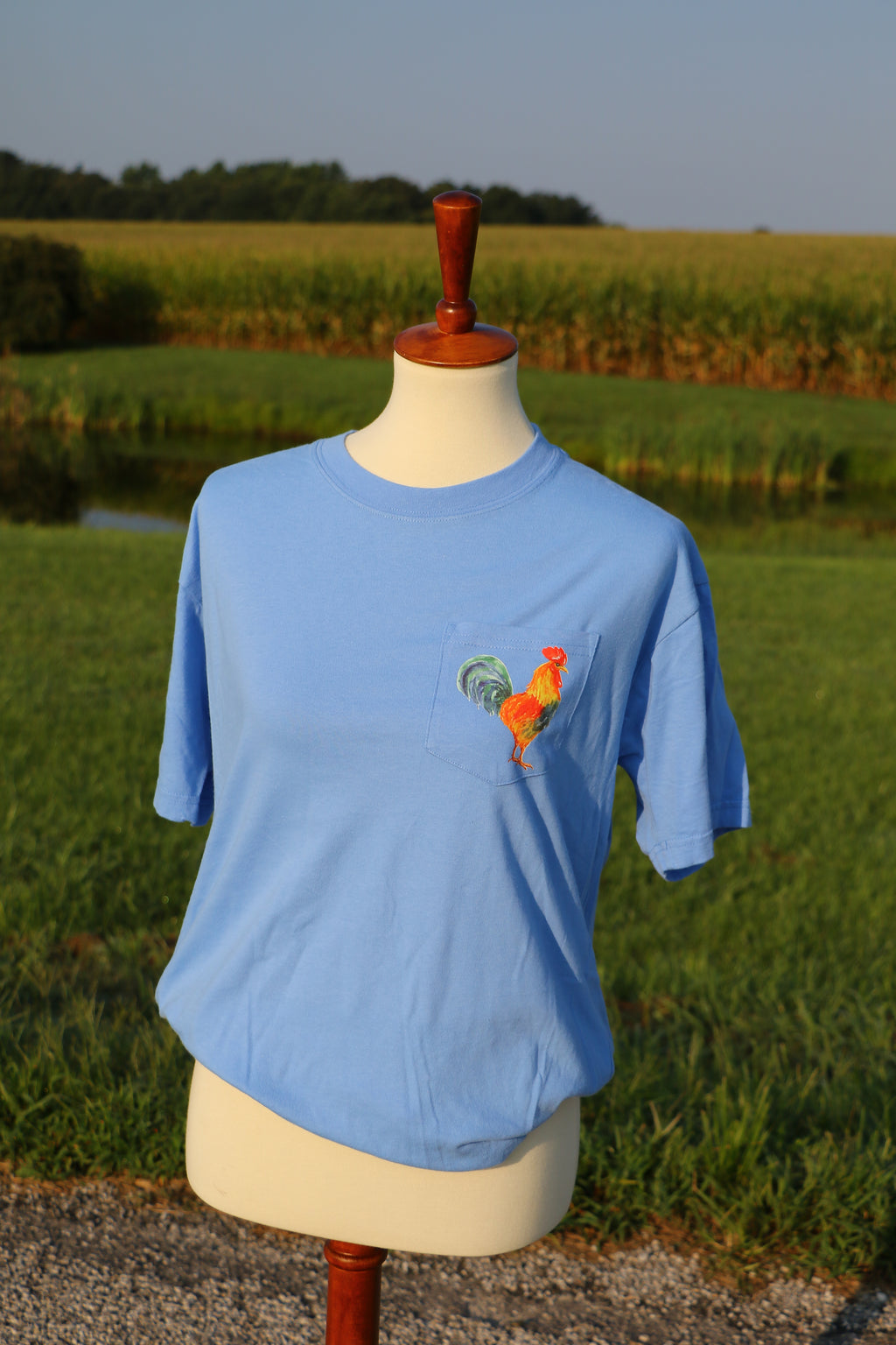 Feathered Collection: The Rooster