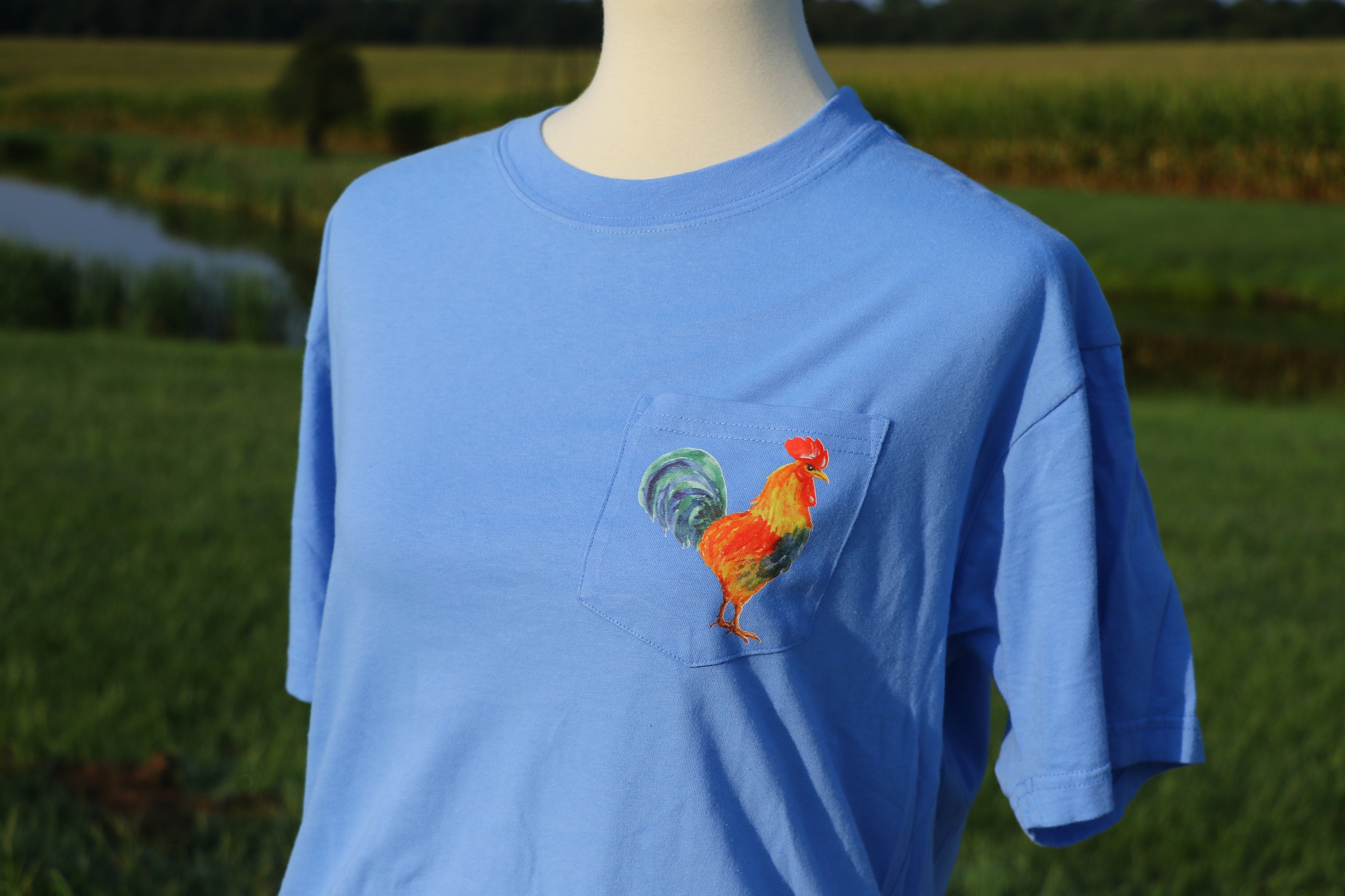 Feathered Collection: The Rooster