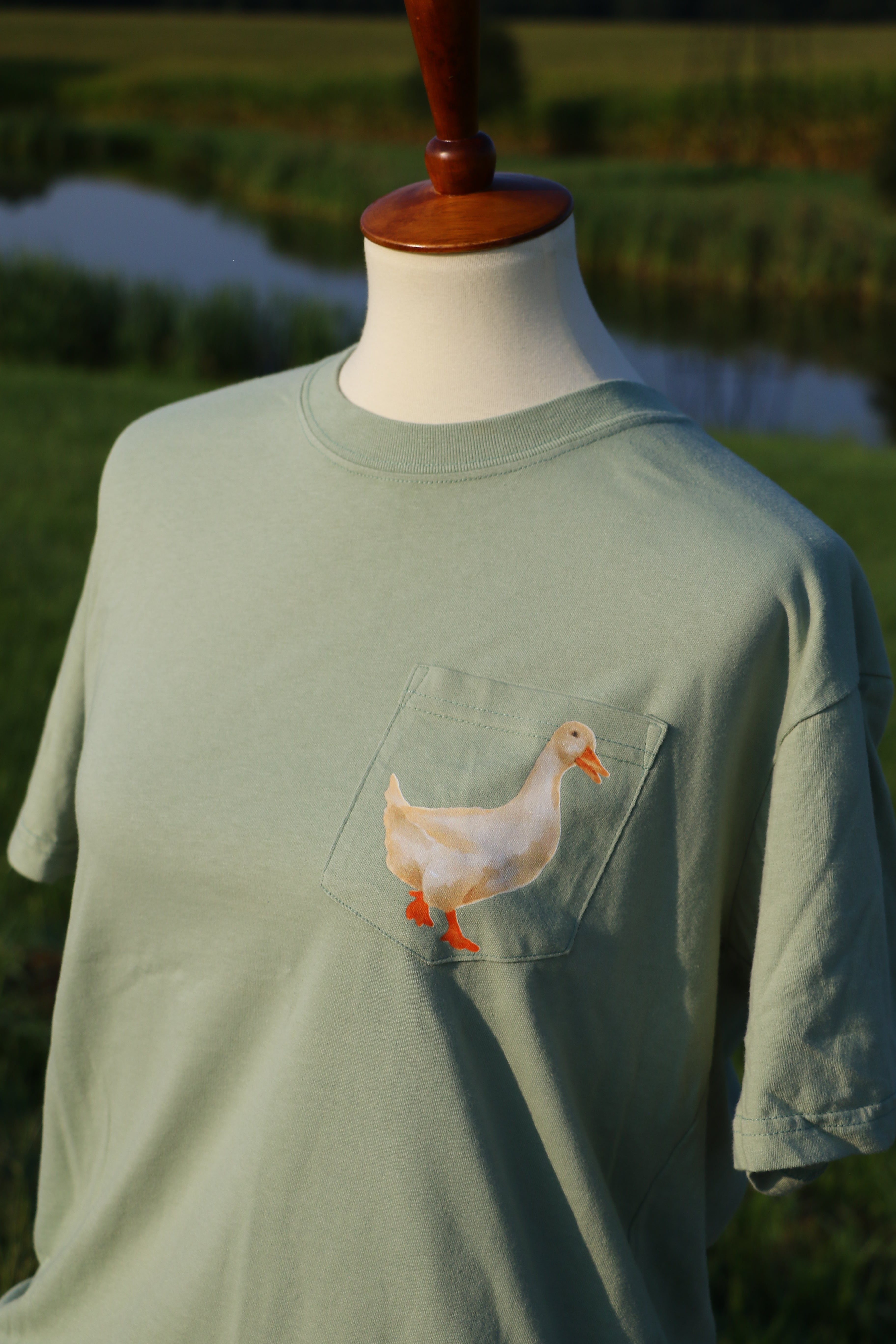 Feathered Collection: The White Duck