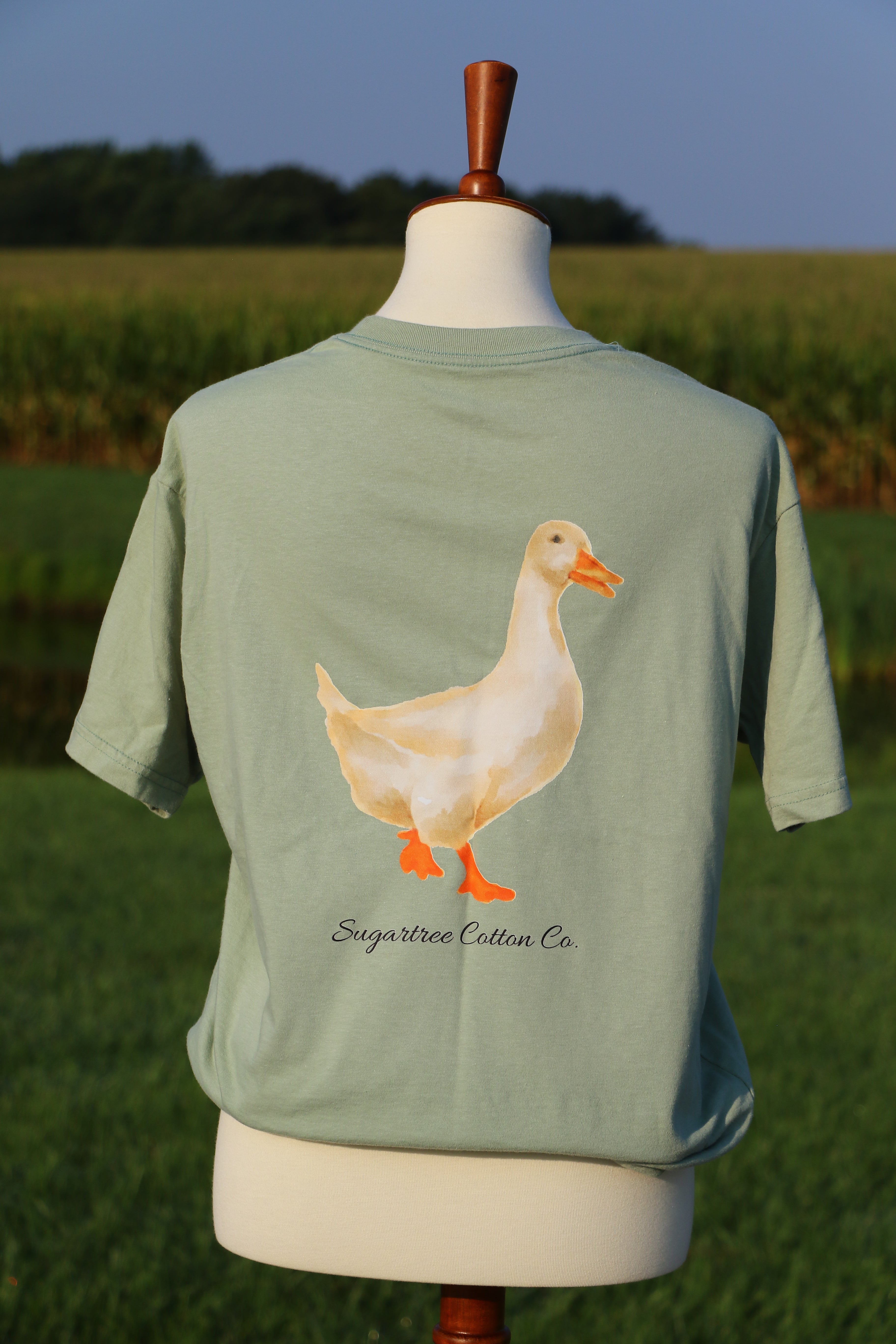 Feathered Collection: The White Duck