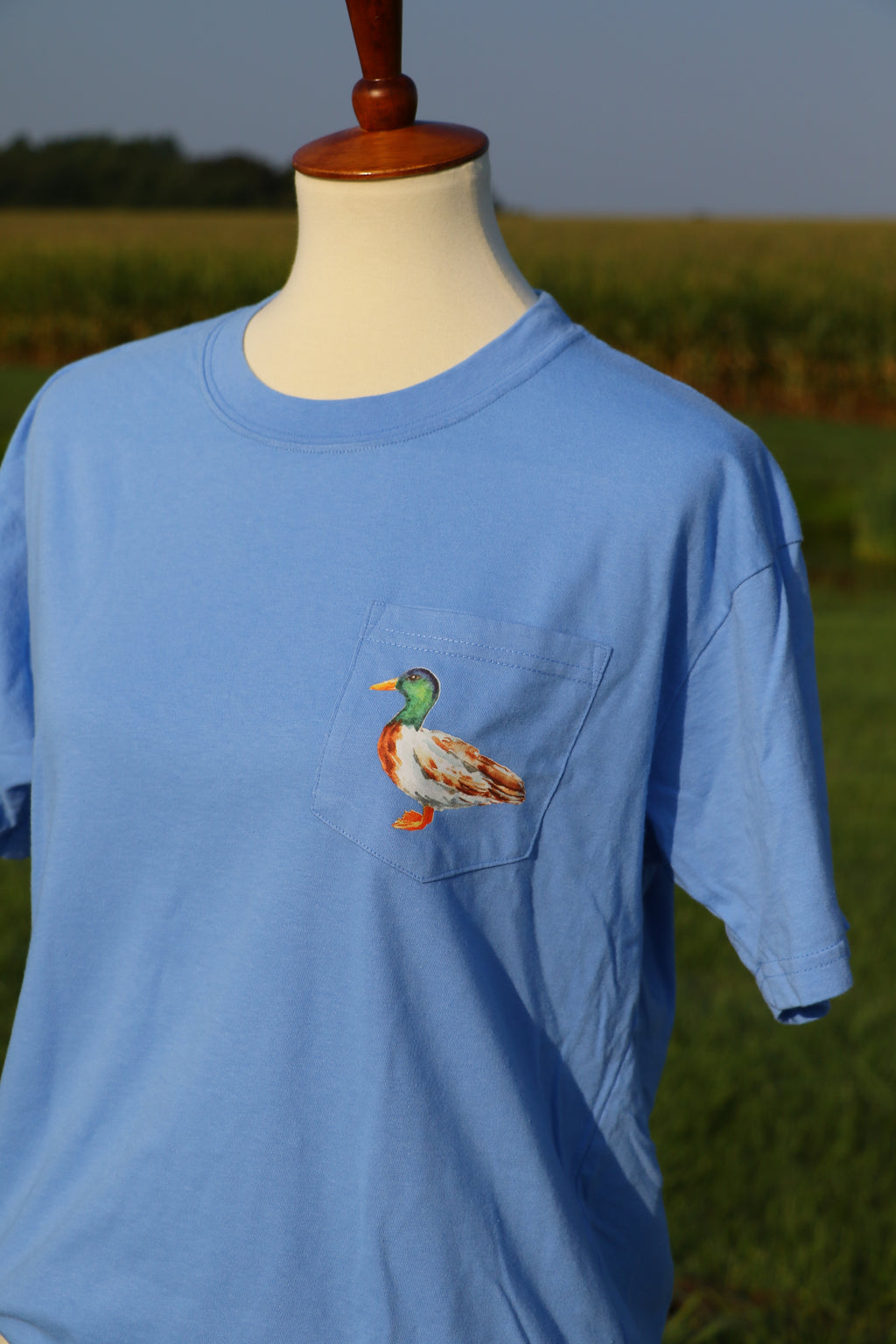 Feathered Collection: The Duck