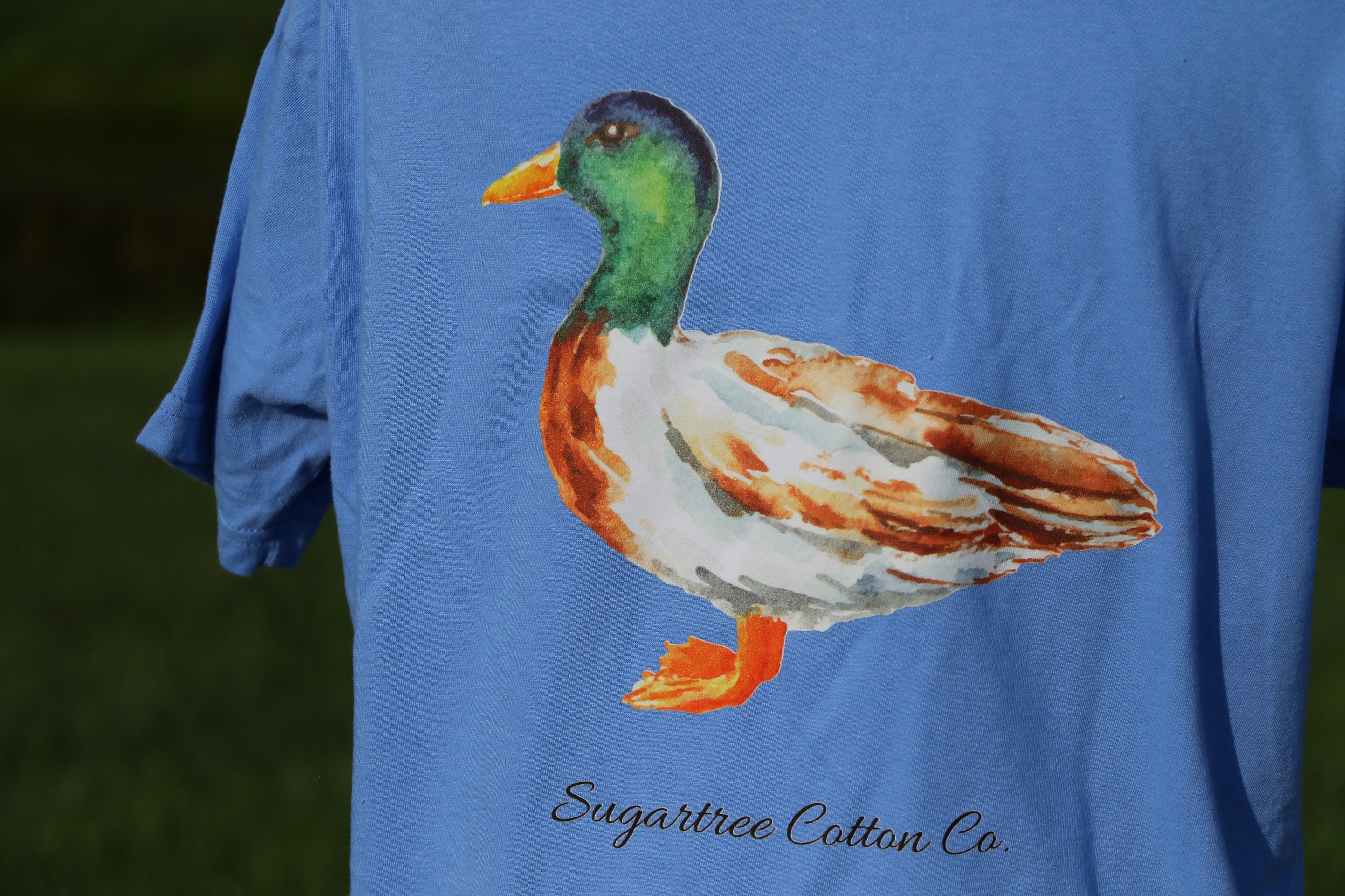 Feathered Collection: The Duck