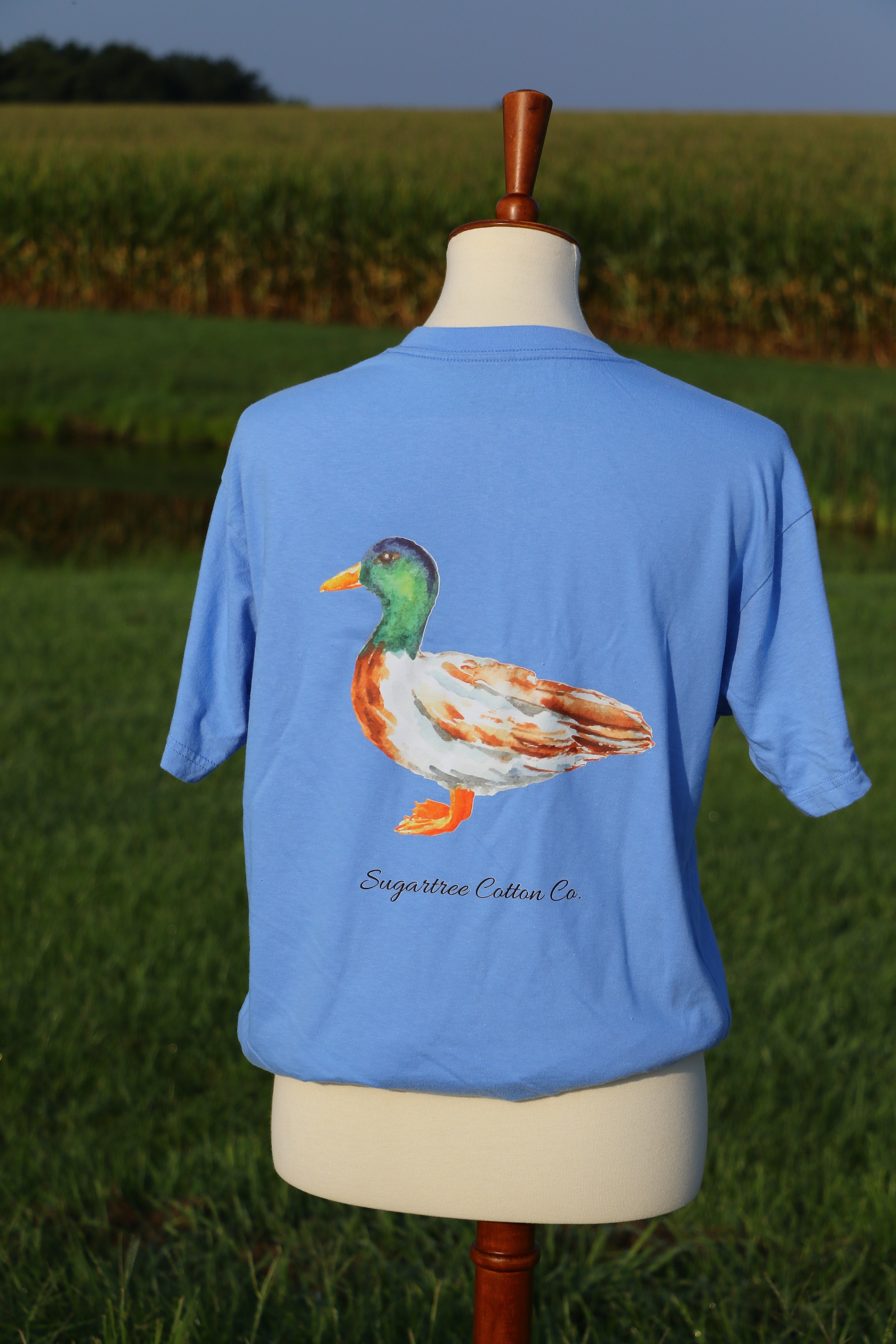 Feathered Collection: The Duck